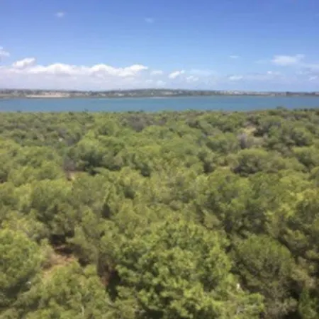 T4 Torrevieja Renove Reste 20Juillet Au 25 Juillet Et 27 Au 31 Juillet A Saisir Torrevieja